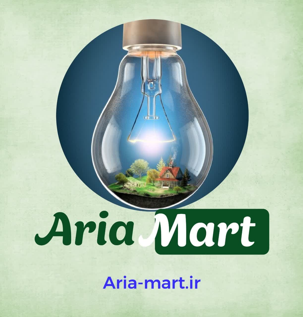 آریا الکترونیک